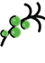 Ölbaum