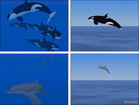 Dolphin Pod Screensaver