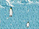 Pinguine Screensaver