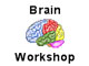 Brain Workshop